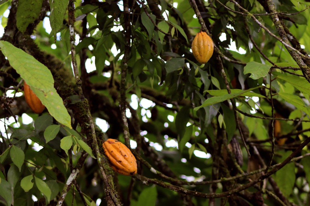 Convenio FELCODE - Plan Binacional para turismo en Palanda